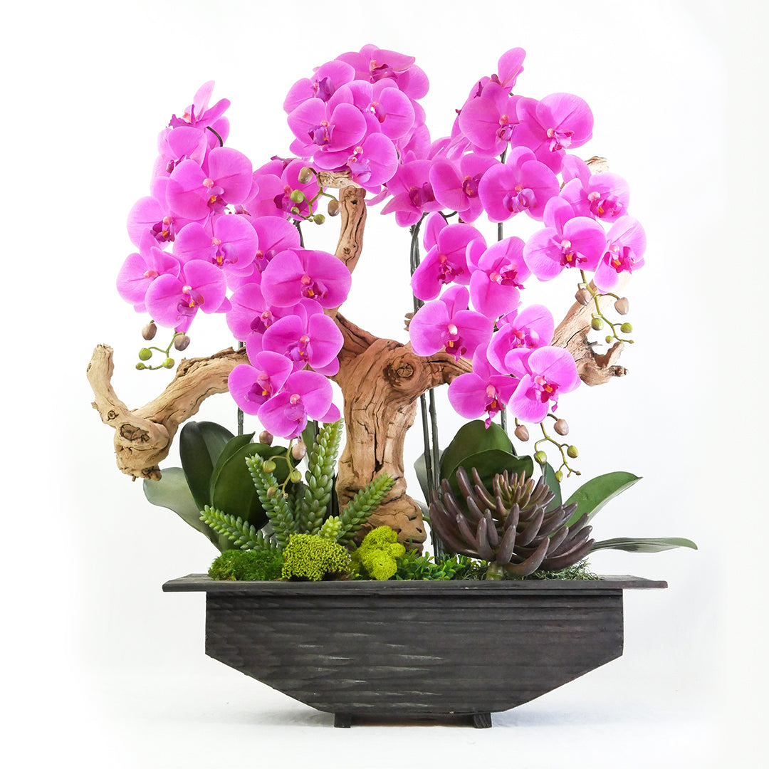 Delilah's Orchids